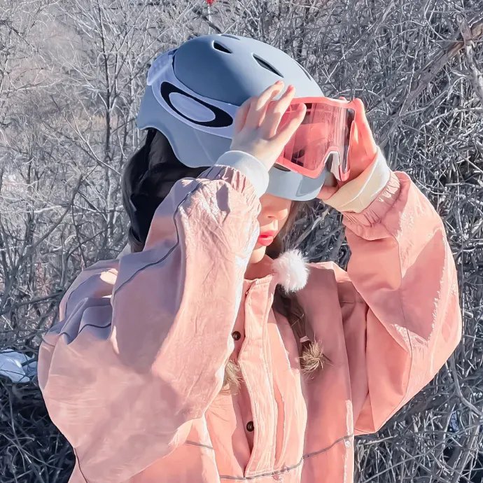 铳梦：战斗天使 封面